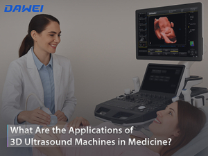 What Are the Applications of 3D Ultrasound Machines in Medicine 800 600.jpg