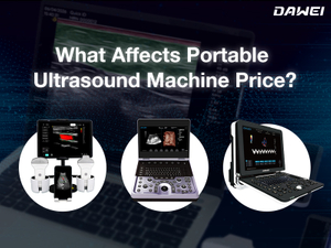 What Affects Portable Ultrasound Machine Price 800 600 拷贝.jpg